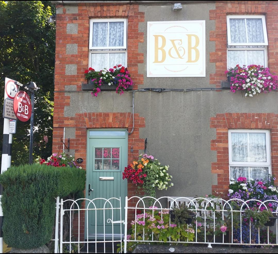 Bridge View B&B Kilkenny Bagian luar foto